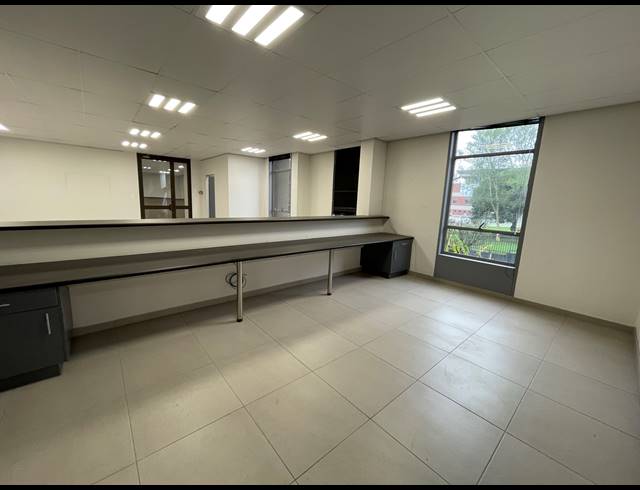 216M² OFFICE TO LET IN ROSEBANK